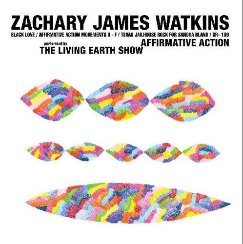 Zachary Watkins James - Affirmative Action