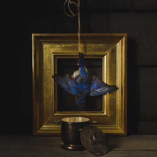 Claire Dickson - Beholder