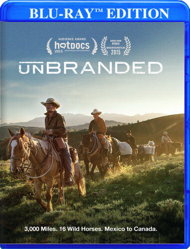 Unbranded / (Mod AC3 Dol)