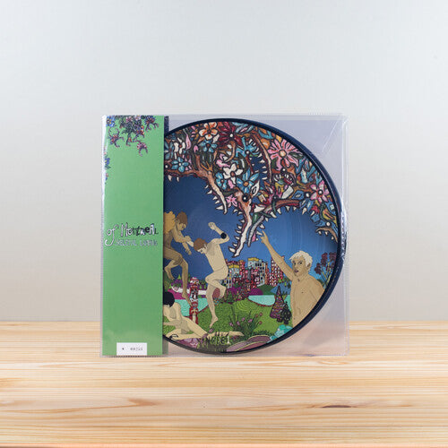 Of Montreal - Skeletal Lamping (Picture Disc Edition)