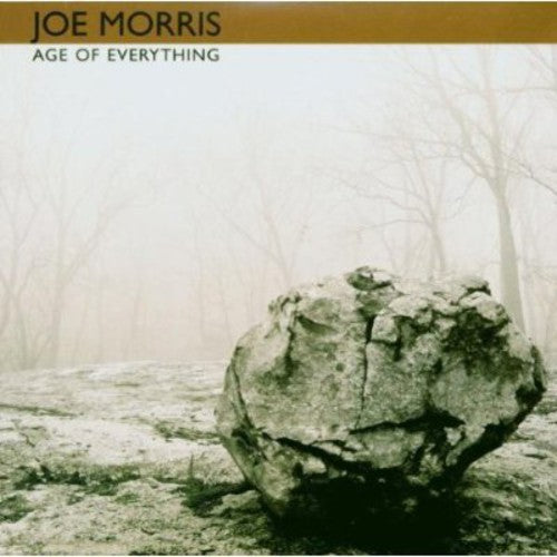 Joe Morris Trio - Age of Everything