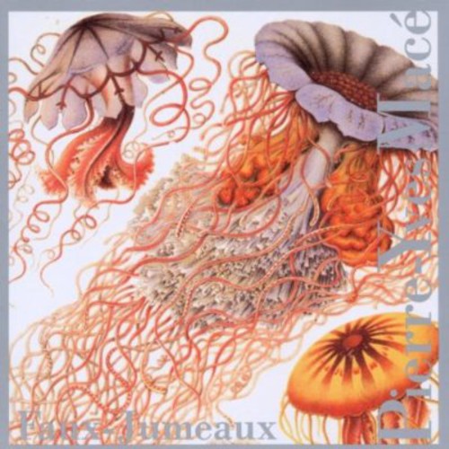 Pierre-Yves Mace - Faux-Jumeaux