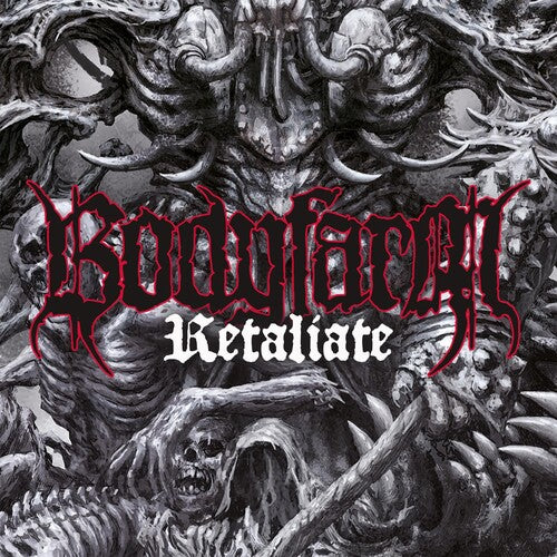 Maere - ....and The Universe Keeps Silent