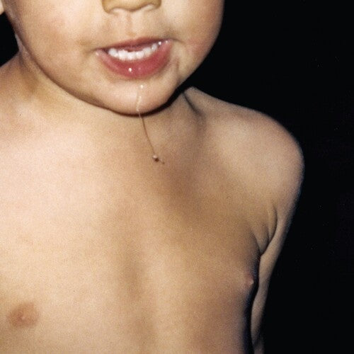 La Paloma - Todavia No