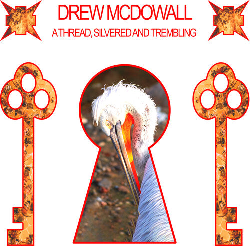 Drew McDowall - A Thread, Silvered and Trembling
