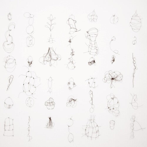 Maria Reich - Interdependenzen