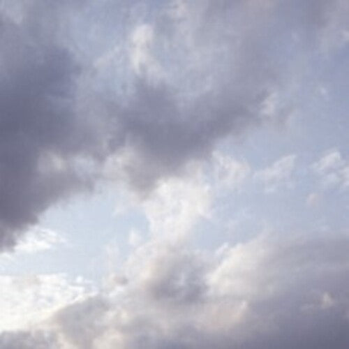 Celer - It Would Be Giving Up