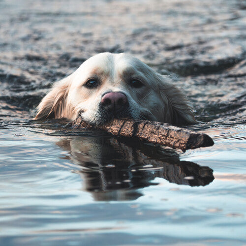 Orebolo - The Chateau