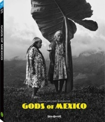 Gods Of Mexico / (AC3 Sub)