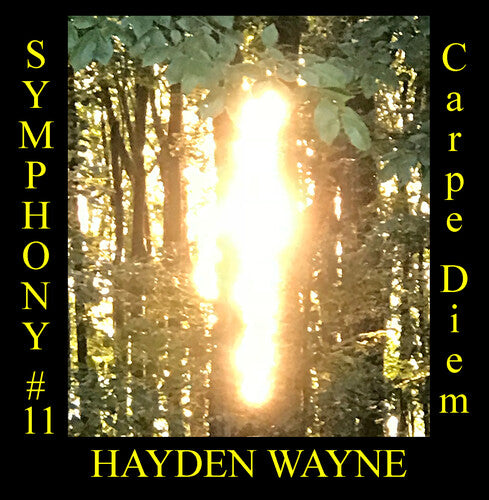 Hayden Wayne - Symphony #11: Carpe Diem