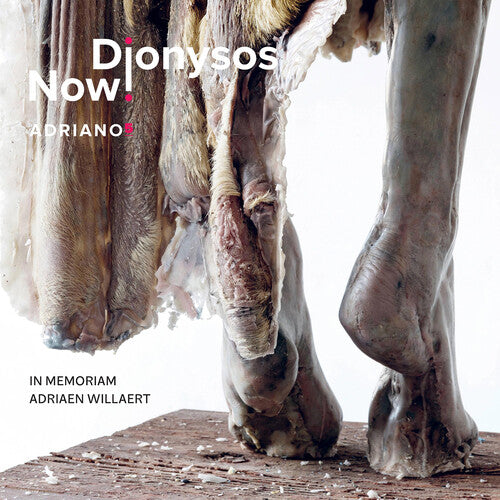 Dionysos Now - Adriano 5