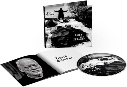 David Gilmour - Luck And Strange