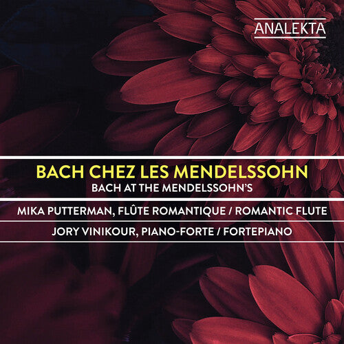 Mika Putterman / Jory Vinikour - Bach Chez Les Mendelssohn