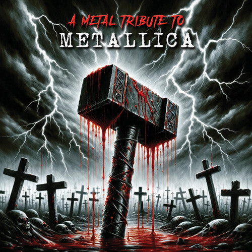 Metal Tribute to Metallica/ Various - A Metal Tribute to Metallica (Various Artists)