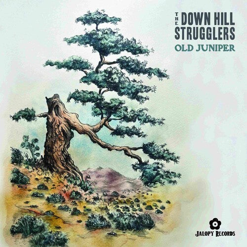 The Down Hill Strugglers - Old Juniper