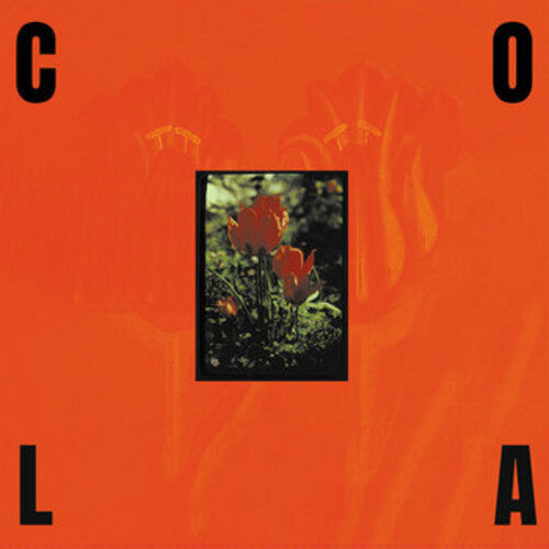 Cola - Gloss