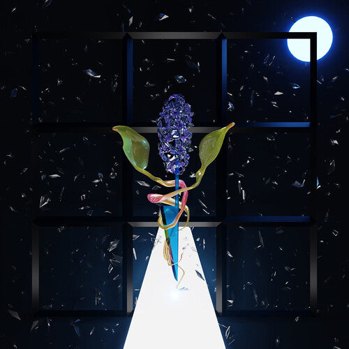 Darian Thomas - Room With Many Doors: Night