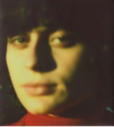 Ana Frango Eletrico - Little Electric Chicken Heart