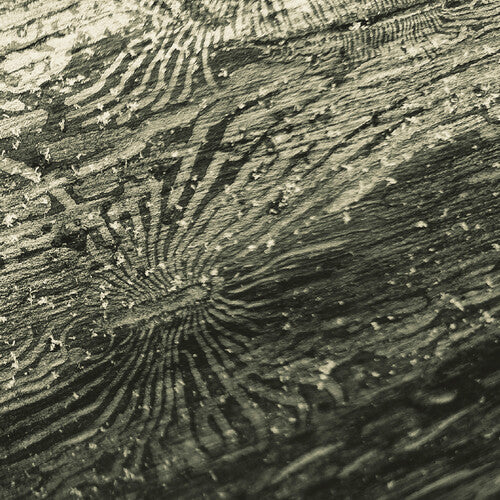 Raphael Roginski - Talan