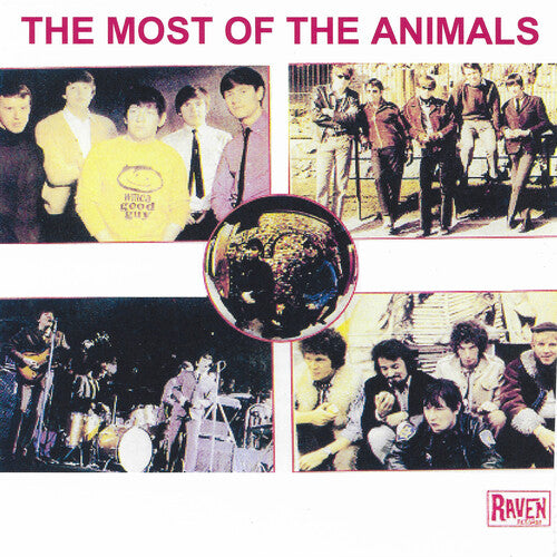 Animals - Most Of The Animals