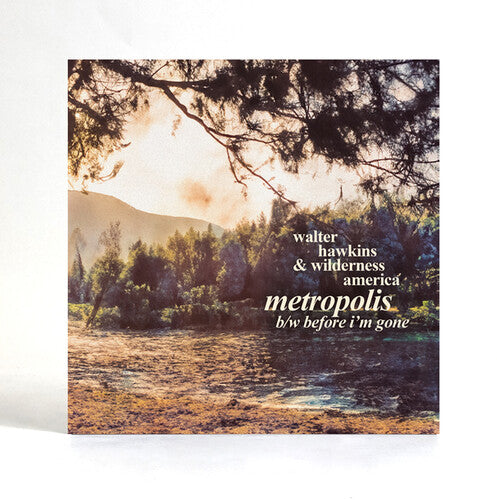 Walter Hawkins - Metropolis