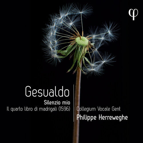 Gesualdo/ Herreweghe/ Nordberg - Gesualdo: Silenzio mio - Il quarto libro di madrigali