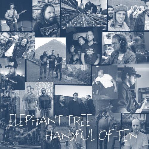 Elephant Tree - Handful of Ten