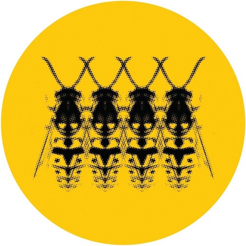 Kristin Velvet - Wasp Nest