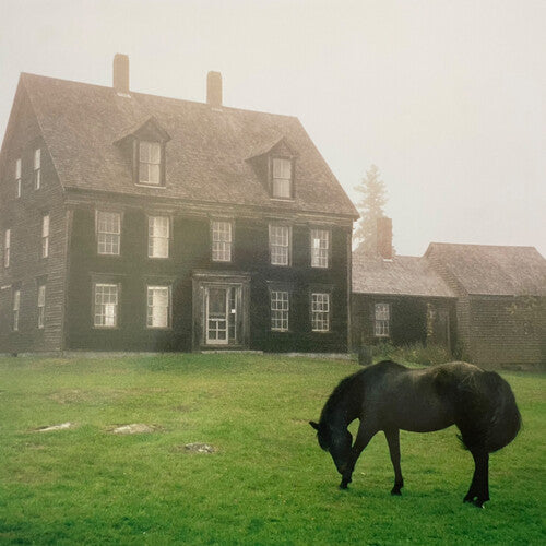 Lutalo - The Academy - Meadow Green