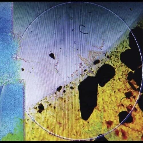 Dreamtx - Living in Memory of Something Sweet