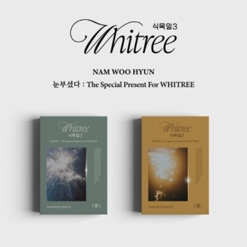 Nam Woo Hyun - The Special Present For Whitree - Random Cover - incl. USB, 7pc Postcard Set, Folded Poster, 3 Photocards + Film Photo