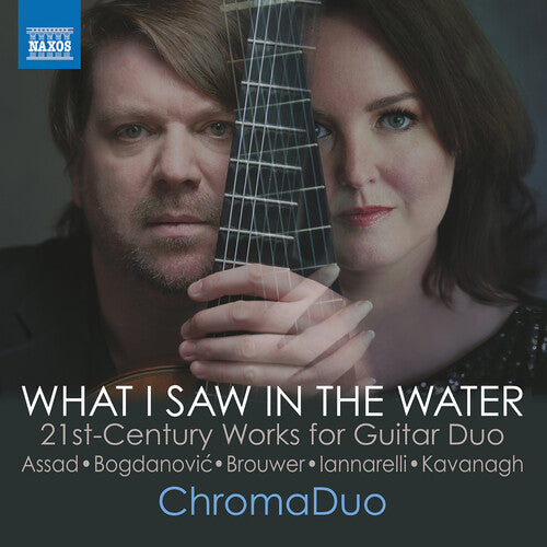 Bogdanovic/ Kavanagh/ Chromaduo - Assad, Bogdanovic, Brouwer, Iannarelli & Kavanagh: What I Saw in the Water