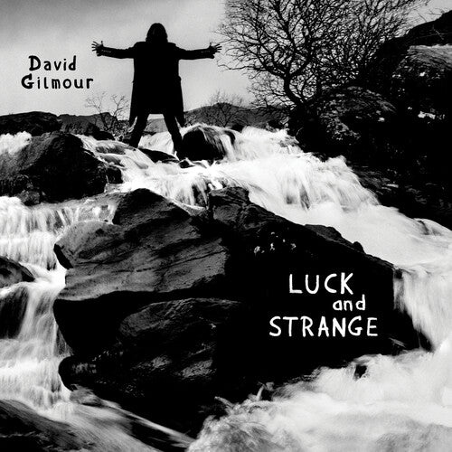 David Gilmour - Luck And Strange