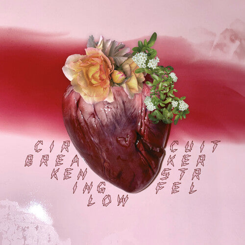 Ken Stringfellow - Circuit Breaker