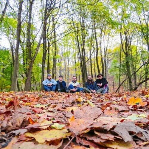 Golden Feather - Golden Feather