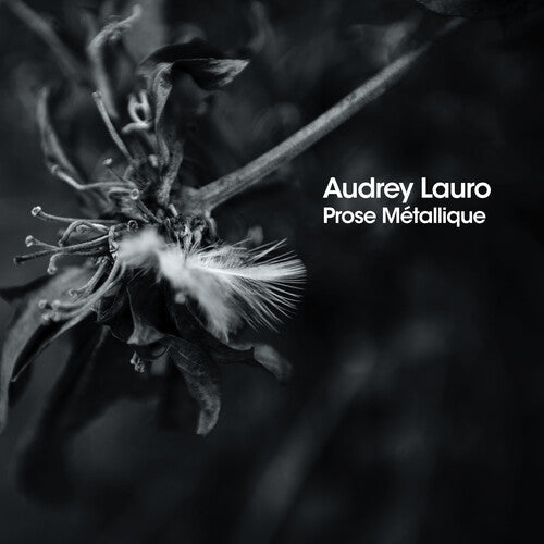 Audrey Lauro - Prose Metalliqe