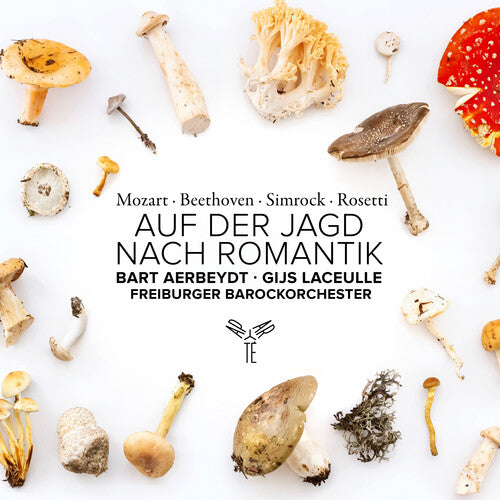 Freiburger Barockorchester - Auf Der Jagd Nach Romantik