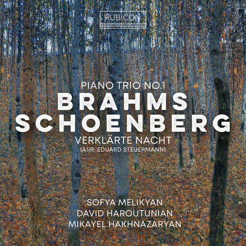 Sofia Melikyan - Brahms: Piano Trio No.1; Schoenberg: Verklarte Nacht