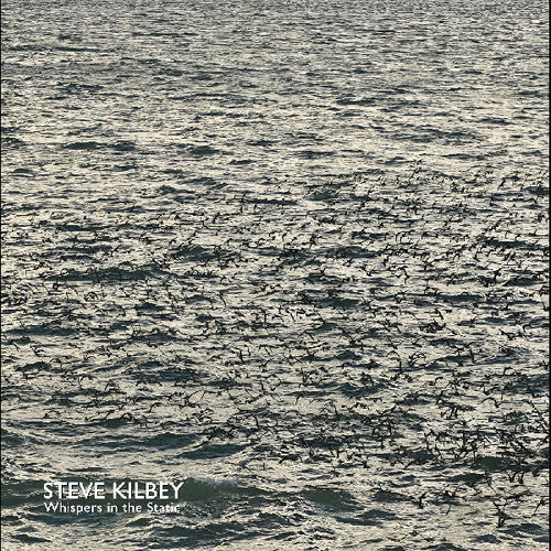 Steve Kilbey - Whispers In The Static