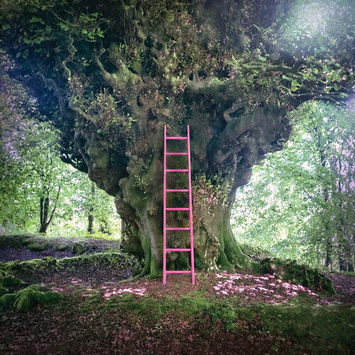 Simon Chesterfield - Simon Chesterfield