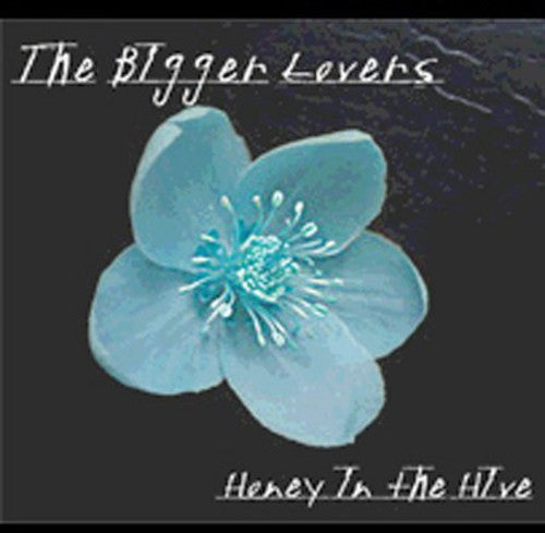 Bigger Lovers - Honey in the Hive
