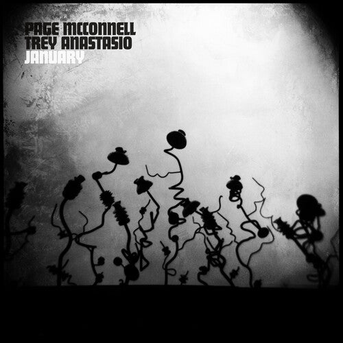 Page McConnell Trey Anastasi - January