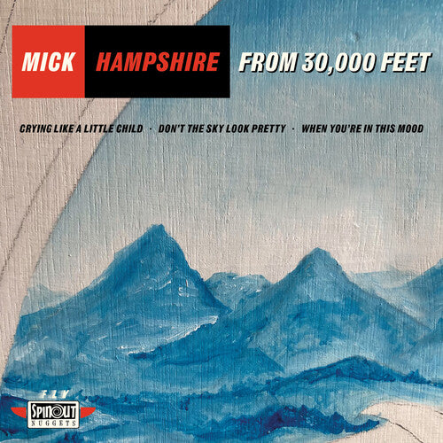 Mick Hampshire - From 30,000 Feet