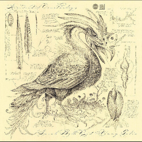 Sarah Reid Belle/ Vinny Golia - Accidental Ornithology