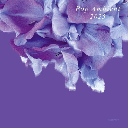 Pop Ambient 2025/ Various - Pop Ambient 2025