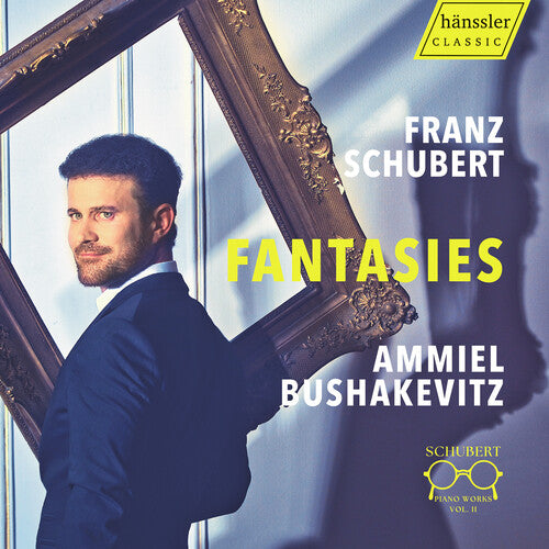 Schubert/ Bushakevitz - Schubert: Piano Works, Vol. 2 - Fantasies