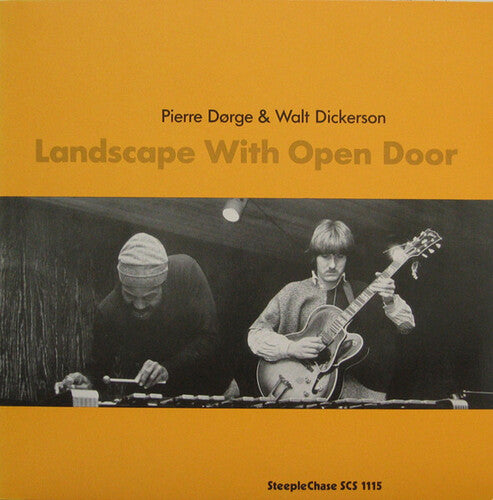 New Jungle Orchestra - Landscape With Open Door