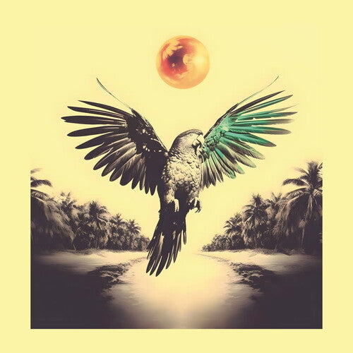 Sam Nobrega - Ponta de Dois Lados