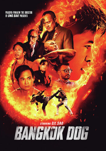 Bangkok Dog / (Mod AC3 Dol)