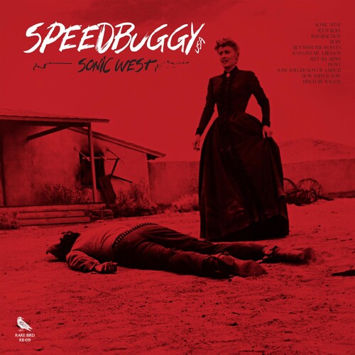 Speedbuggy USA - Sonic West